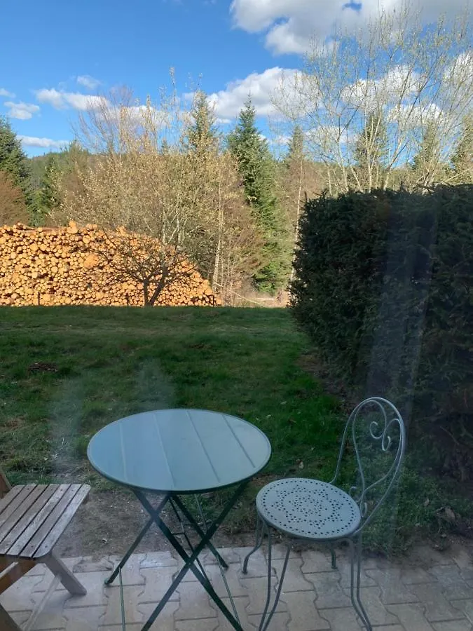 Le Cafe Creme Jardin Parking Apartment Le Chambon-sur-Lignon 0*,  France